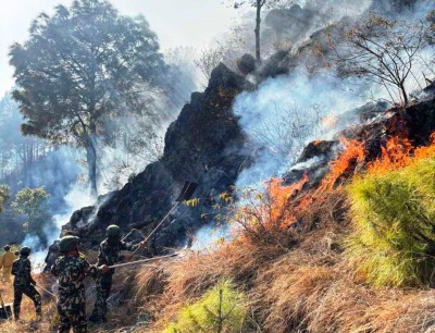  पाल्पाको चार सामुदायिक वनमा लागेको डढेलो नियन्त्रण बाहिर 